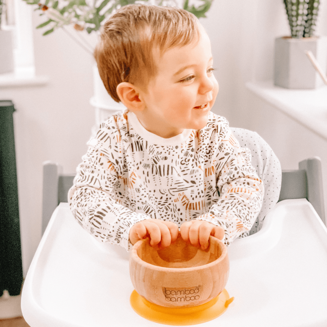 Suction cup discount bowls for toddlers
