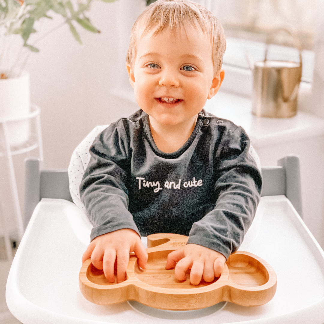 HI BABY MONMENT Baby Bamboo Suction Plate, Bowl And Spoon Set - Wooden Feeding  Set For Toddler 1-3 Year Old - Silicone Suction Sticks To Most Hi