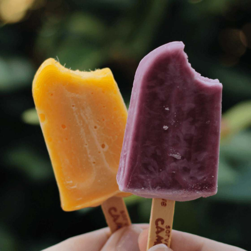 Plum and Apple Popsicles