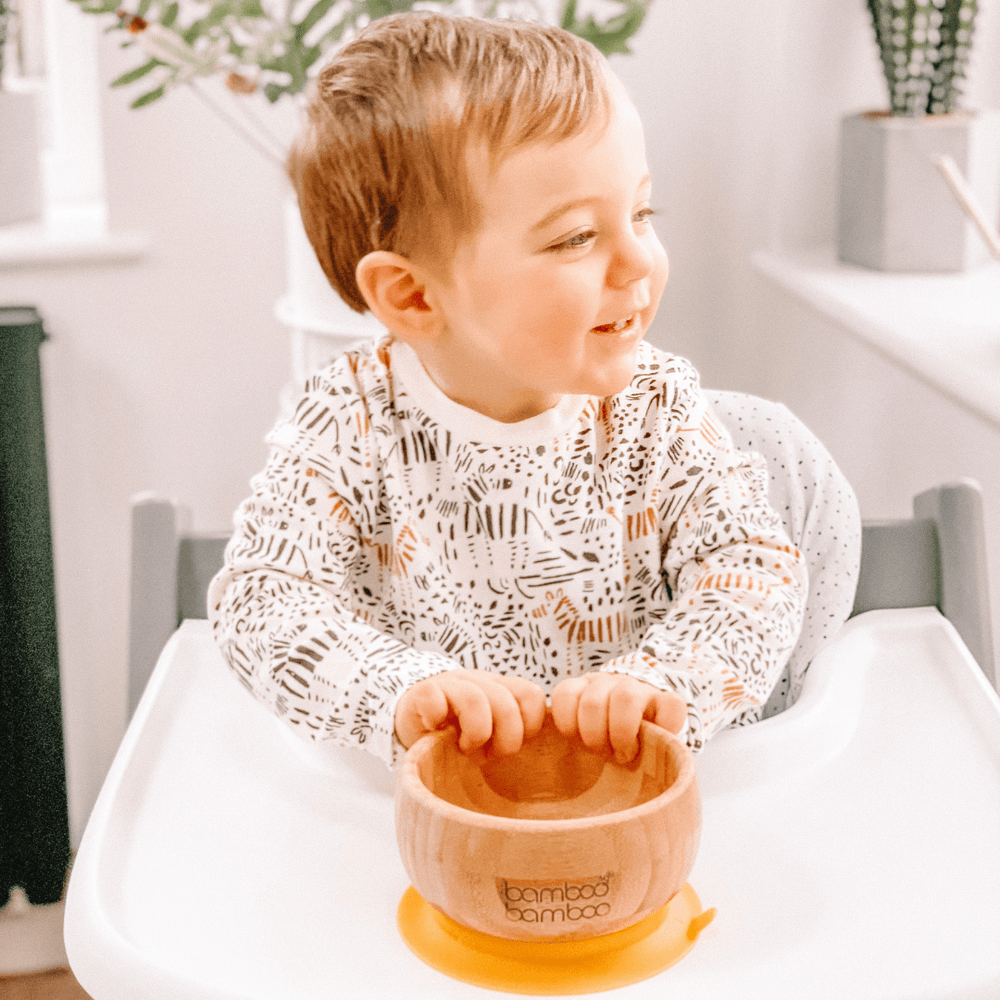 Baby Weaning Bowls